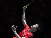 开云体育下载-关于法国队逆转中国队，陈雨菲高光表现的信息