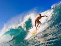 开云体育中国-凯塞多一锤定音，伊朗对阵突尼斯的焦点战中证明自己的价值