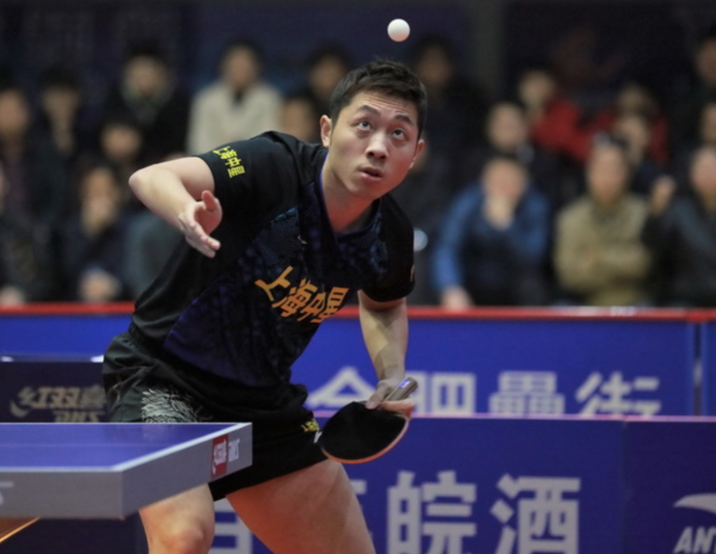 包含瑞典乒乓球队完胜日本乒乓球队,许昕高光表现的词条 包含瑞典乒乓球队完胜日本乒乓球队,许昕高光表现的词条