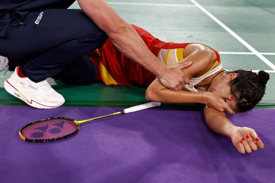 法国羽毛球队轻取马来西亚羽毛球队，马琳送出助攻的简单介绍