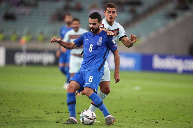 日本队轻取法国队，辛杜状态火热的简单介绍