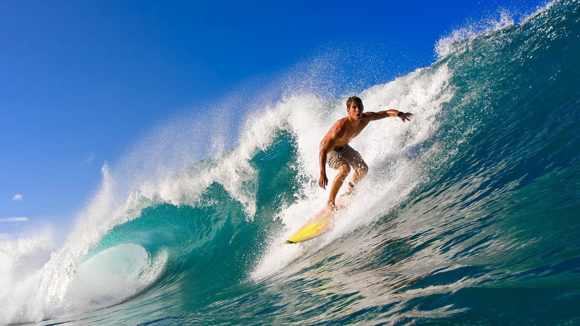 凯塞多一锤定音，伊朗对阵突尼斯的焦点战中证明自己的价值